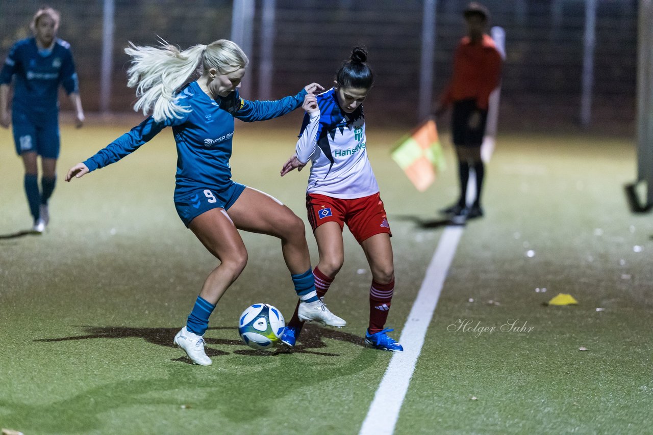 Bild 466 - F SC Alstertal-Langenhorn - Hamburger SV 3 : Ergebnis: 2:2